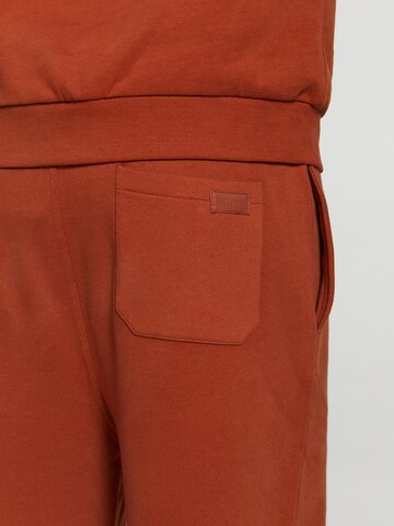 Shiwi Tapered Broek in Bruin