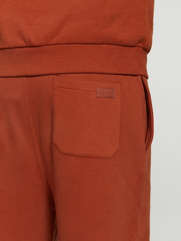 Shiwi Tapered Broek in Bruin