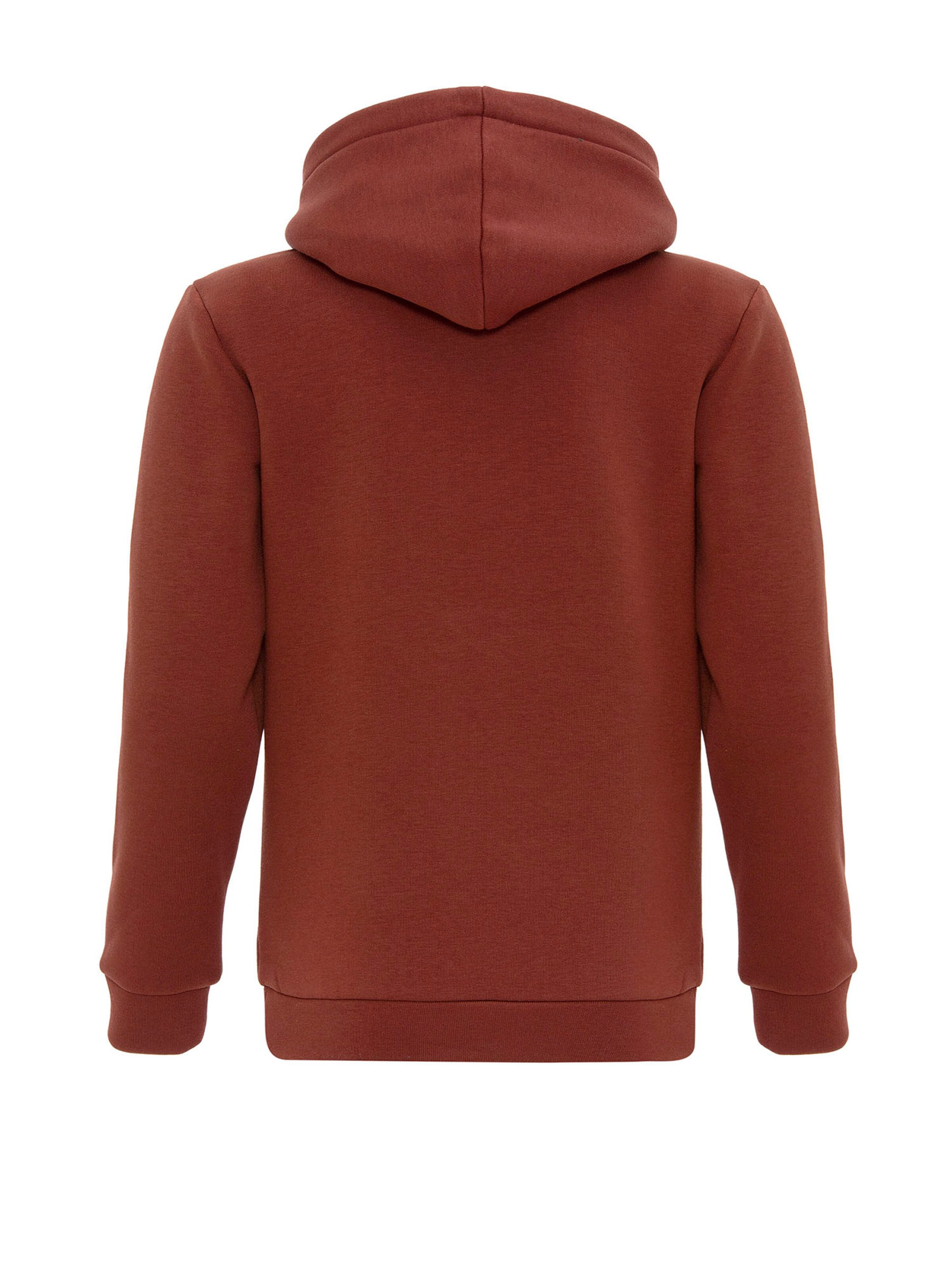 Felpa di Williot in marrone