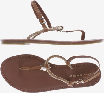 TOMMY HILFIGER Sandals & High-Heeled Sandals in 37 in Brown: front