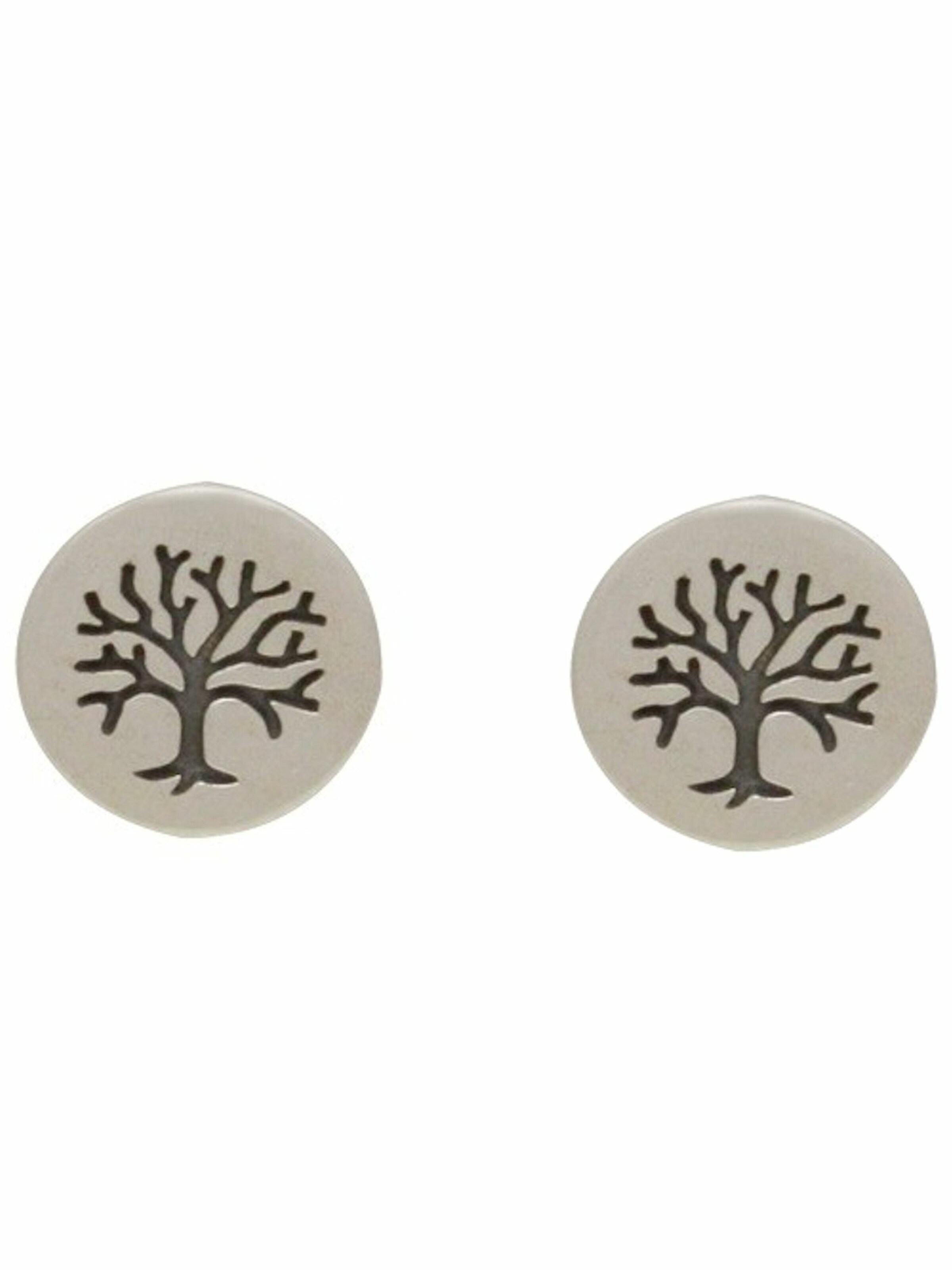 Gemshine Earrings in Silver: front