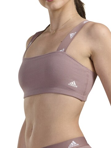 Bustier Soutien-gorge ' Bandeau ' ADIDAS ORIGINALS en beige