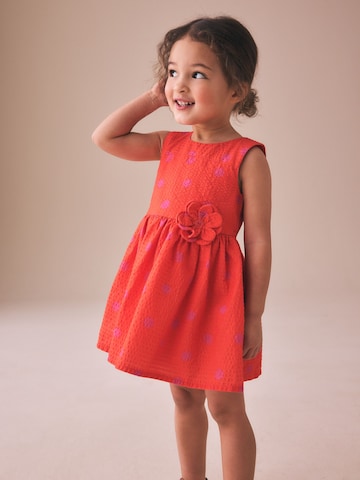 Next Kleid in Orange: Vorderseite