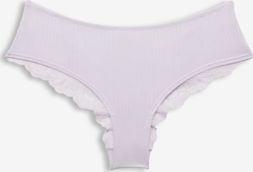 ESPRIT Boyshorts in Purple: front