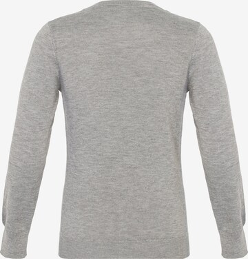 CIPO & BAXX Pullover in Grau