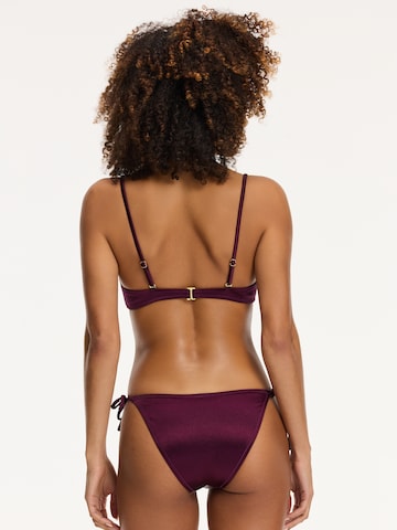 purpurinė Shiwi Trikampė Bikinis 'Lou'