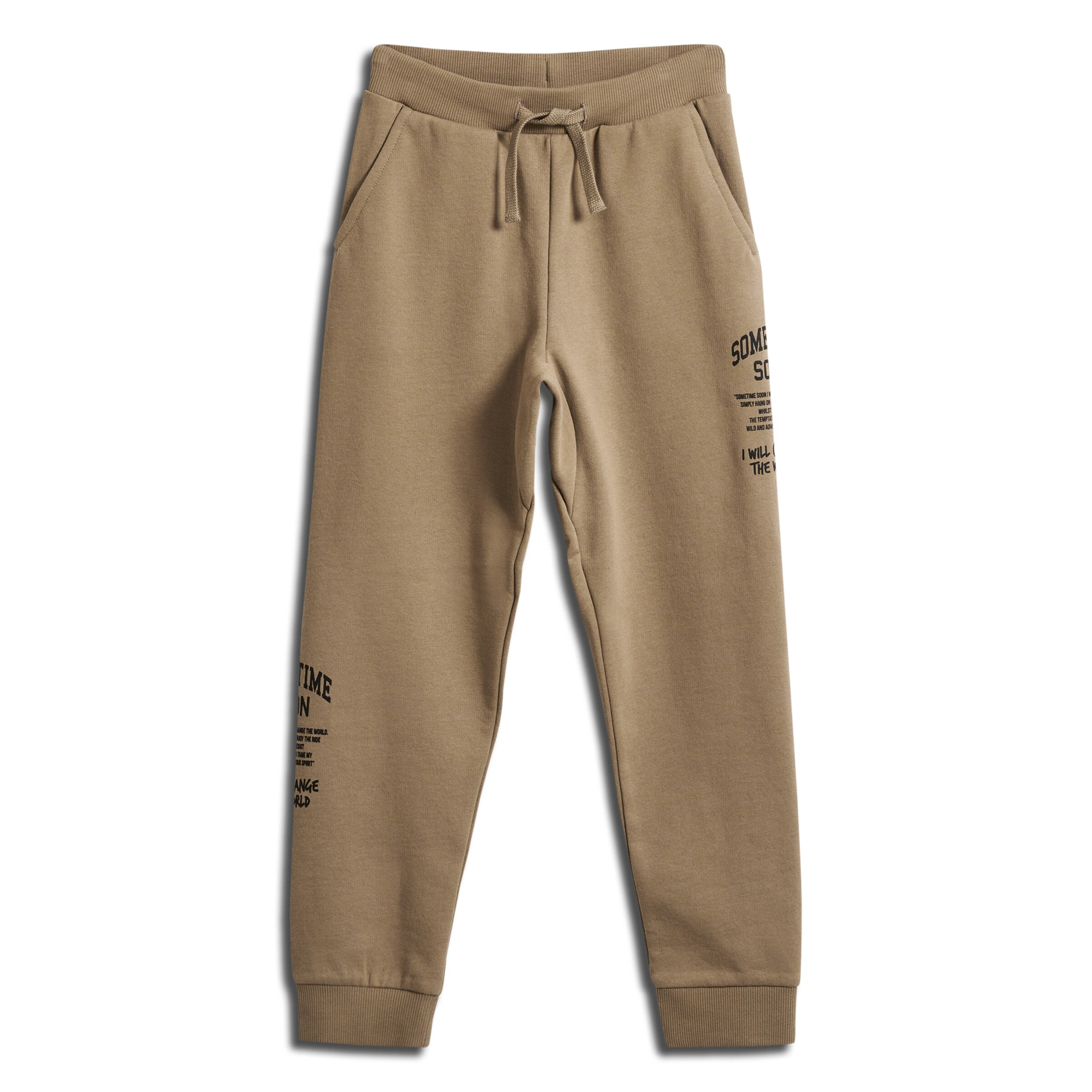SOMETIME SOON Trousers 'Dimas' in Brown: front