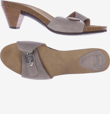 SCHOLL Sandalen 40 in Grau: predná strana