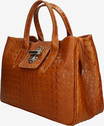Gave Lux Handbag in Brown: front