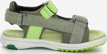 Chaussures ouvertes Kickers en vert