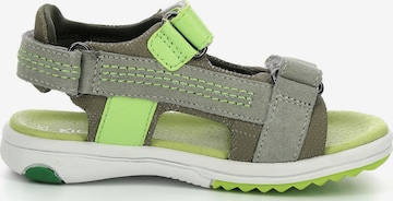 Chaussures ouvertes Kickers en vert