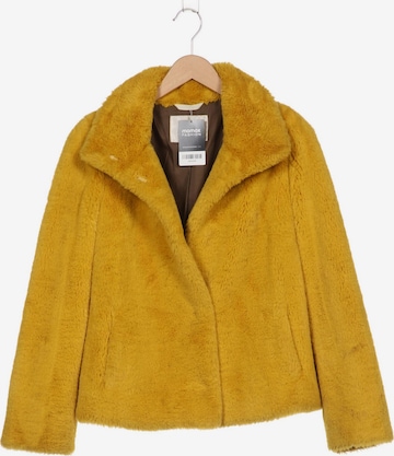 Beaumont Jacket & Coat in M in Yellow: front