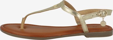 s.Oliver T-Bar Sandals in Gold