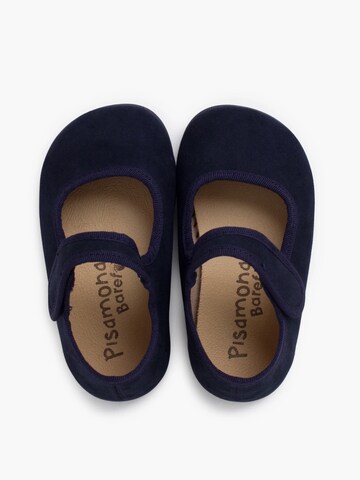 Pisamonas Flats in Blue