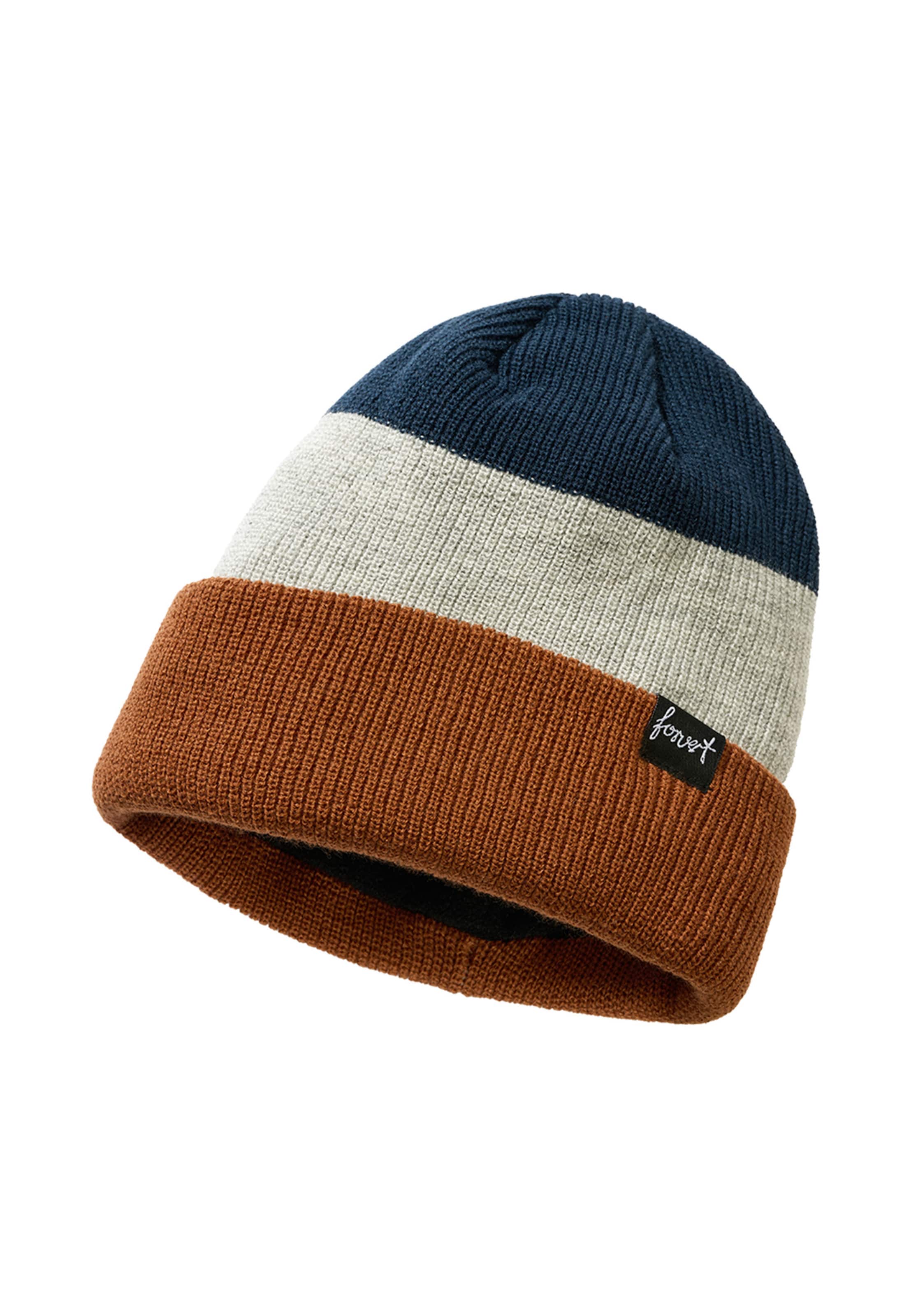Forvert Beanie 'Beaver Creek' in Grey