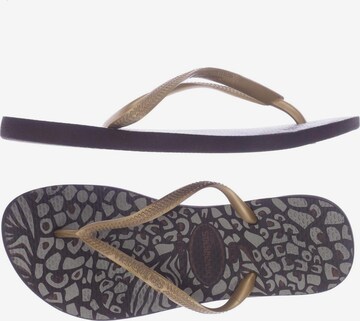 HAVAIANAS Sandals & High-Heeled Sandals in 34 in Brown: front
