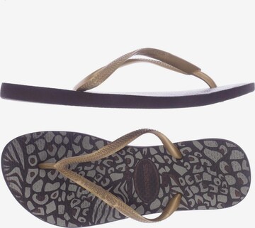 HAVAIANAS Sandalen 34 in Braun: predná strana