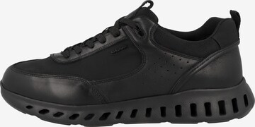 GEOX Låg sneaker ' U Outstream A ' i svart