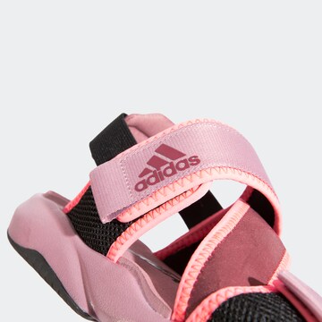 Sandales 'Sumra' ADIDAS TERREX en rose