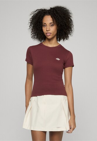 Maglietta 'Gladeville' di DICKIES in marrone: frontale