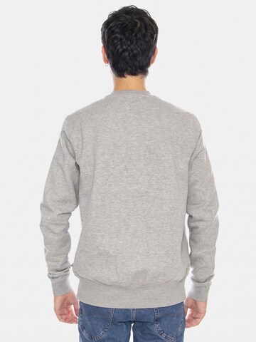 DICKIES Bluzka sportowa 'Oakport' w kolorze szary