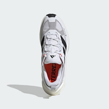 ADIDAS TERREX - Zapatos bajos 'Freehiker 3' en blanco