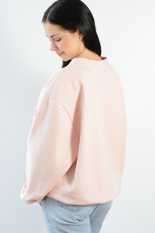 WHITE RVBBIT - Sudadera en rosa
