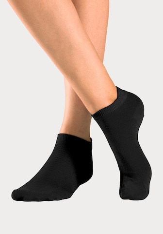 H.I.S Sportsocken in Mischfarben