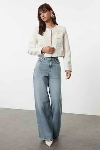 Wide leg Jeans de la Trendyol pe albastru