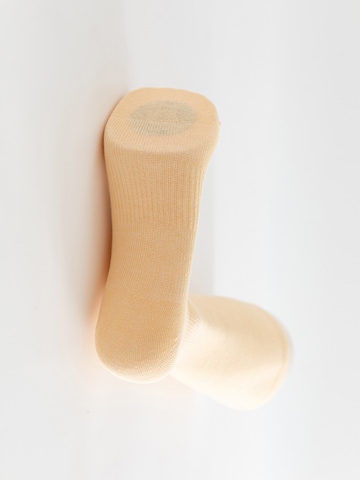 Millo Knee High Socks 'Cottom Comfort' in Beige
