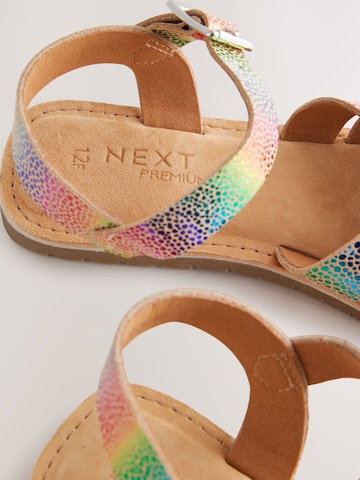 Next Sandal i blandade färger