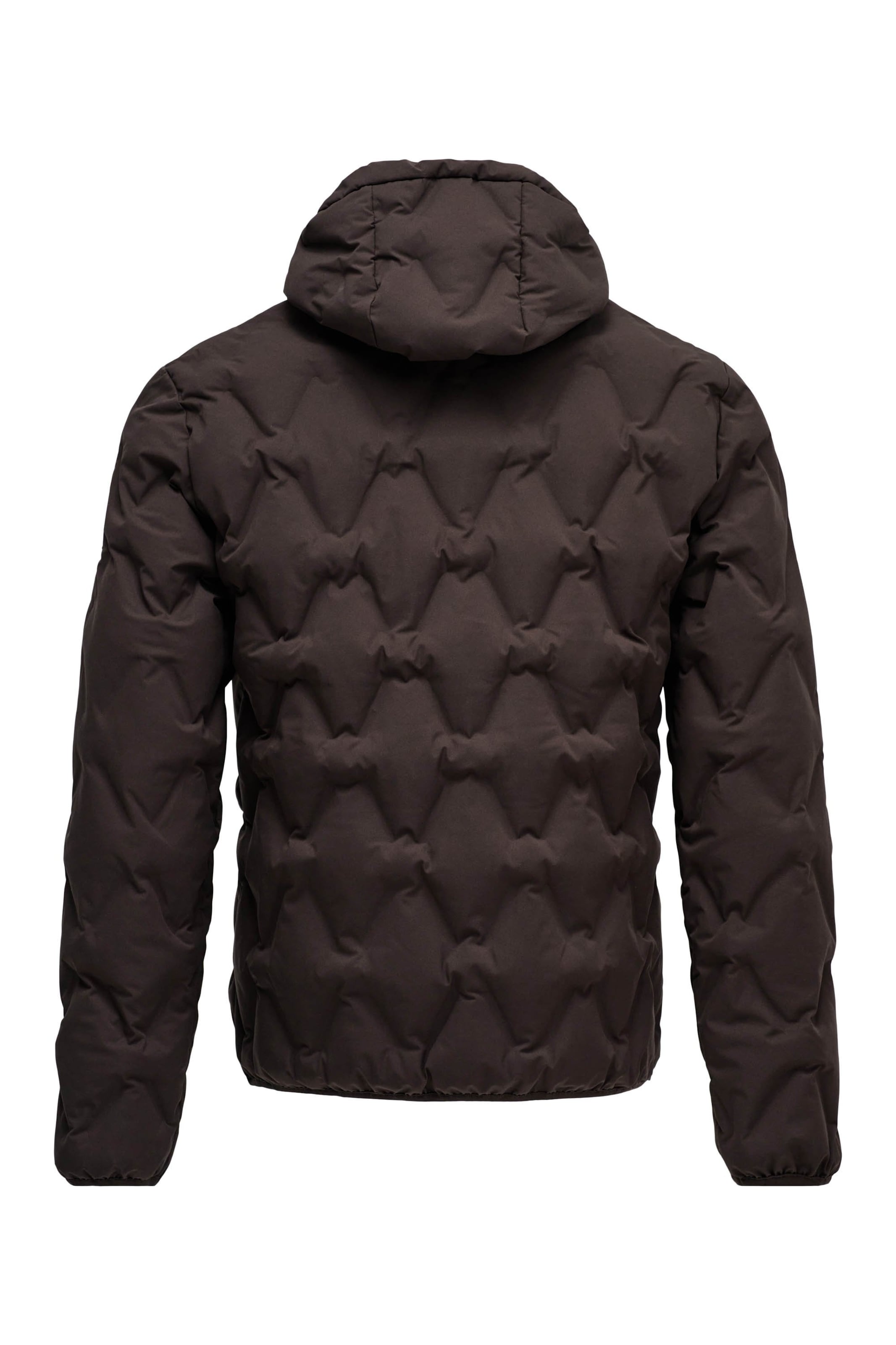 Salsa Jeans Winterjas in Bruin