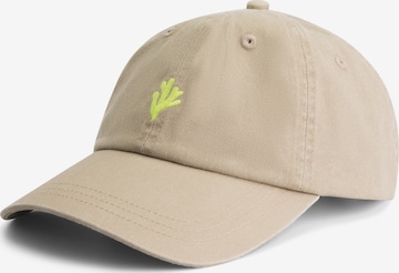 ShiwiŠilterica 'Coral' - bež boja: prednji dio