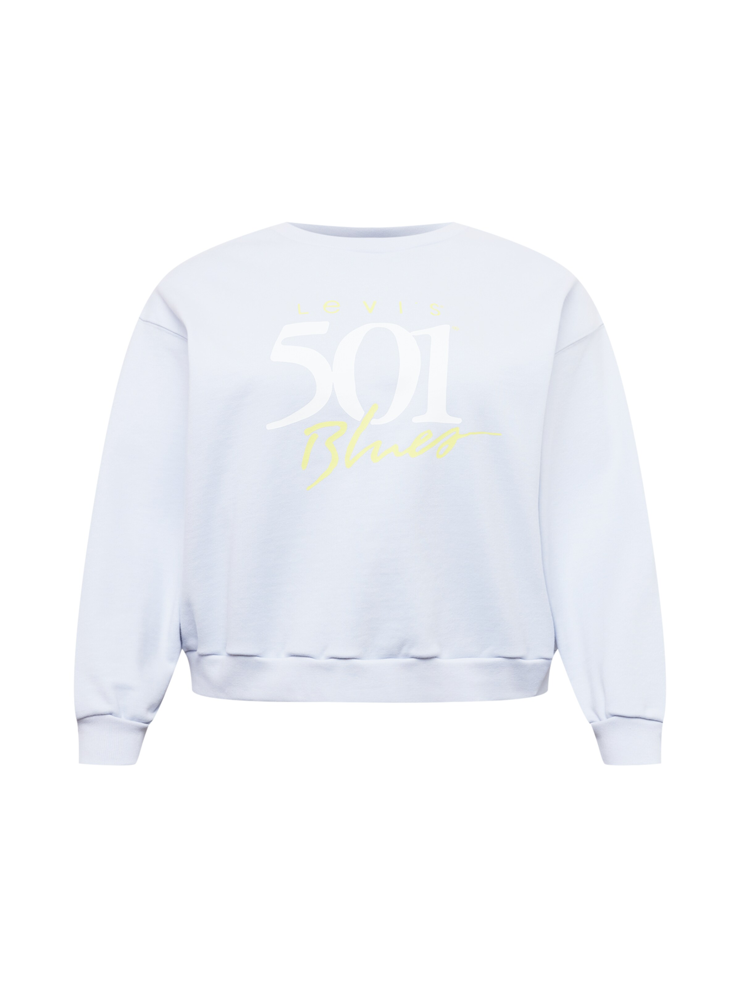 Levi's® Plus Sweatshirt 'PL Graphic Vintage Crew' in Blau: Vorderseite