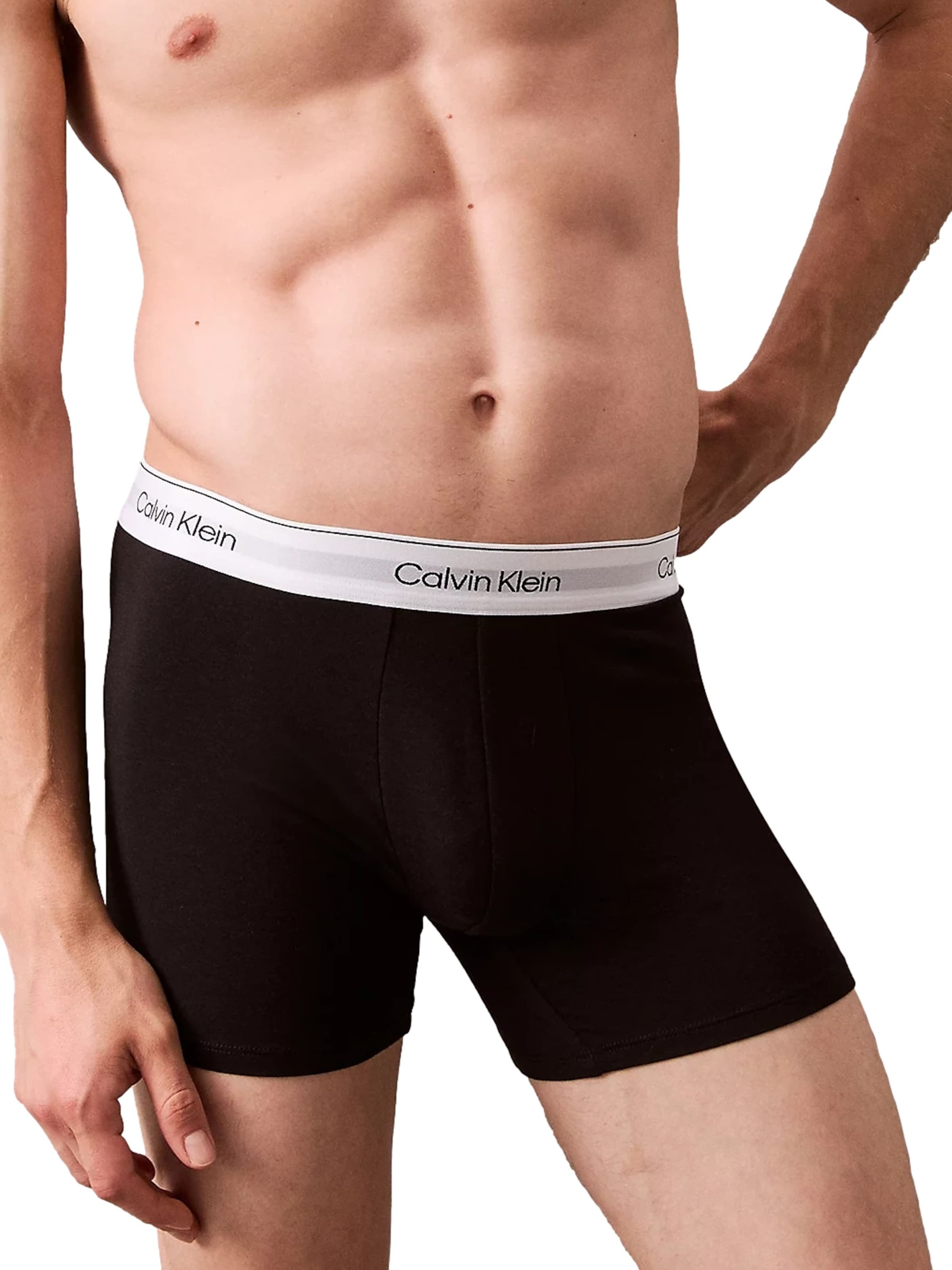 mišri Calvin Klein Underwear Boxer trumpikės: priekis