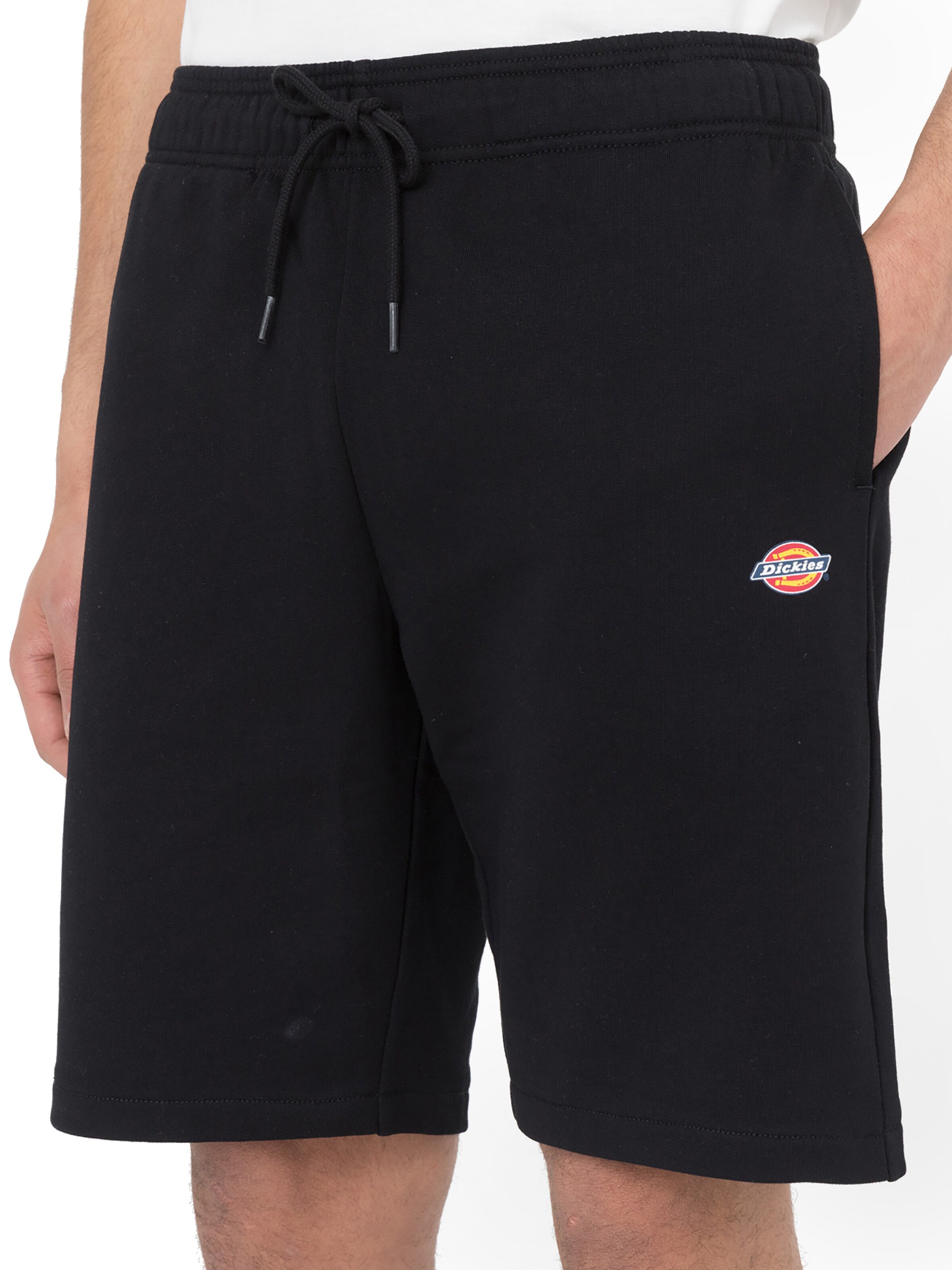 DICKIES Normalny krój Spodnie 'Mapleton' w kolorze czarny