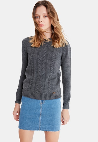 Jimmy Sanders Sweater 'Lux' in Grey: front