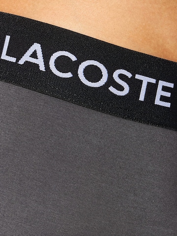 LACOSTE Boxer shorts in Grey