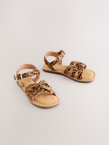 Next Sandalen in Bruin