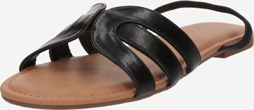 CALL IT SPRING Sandal 'SERENITYY' in Black: front