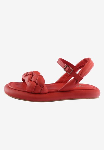 D.MoRo Shoes Sandals 'LEFORA' in Red