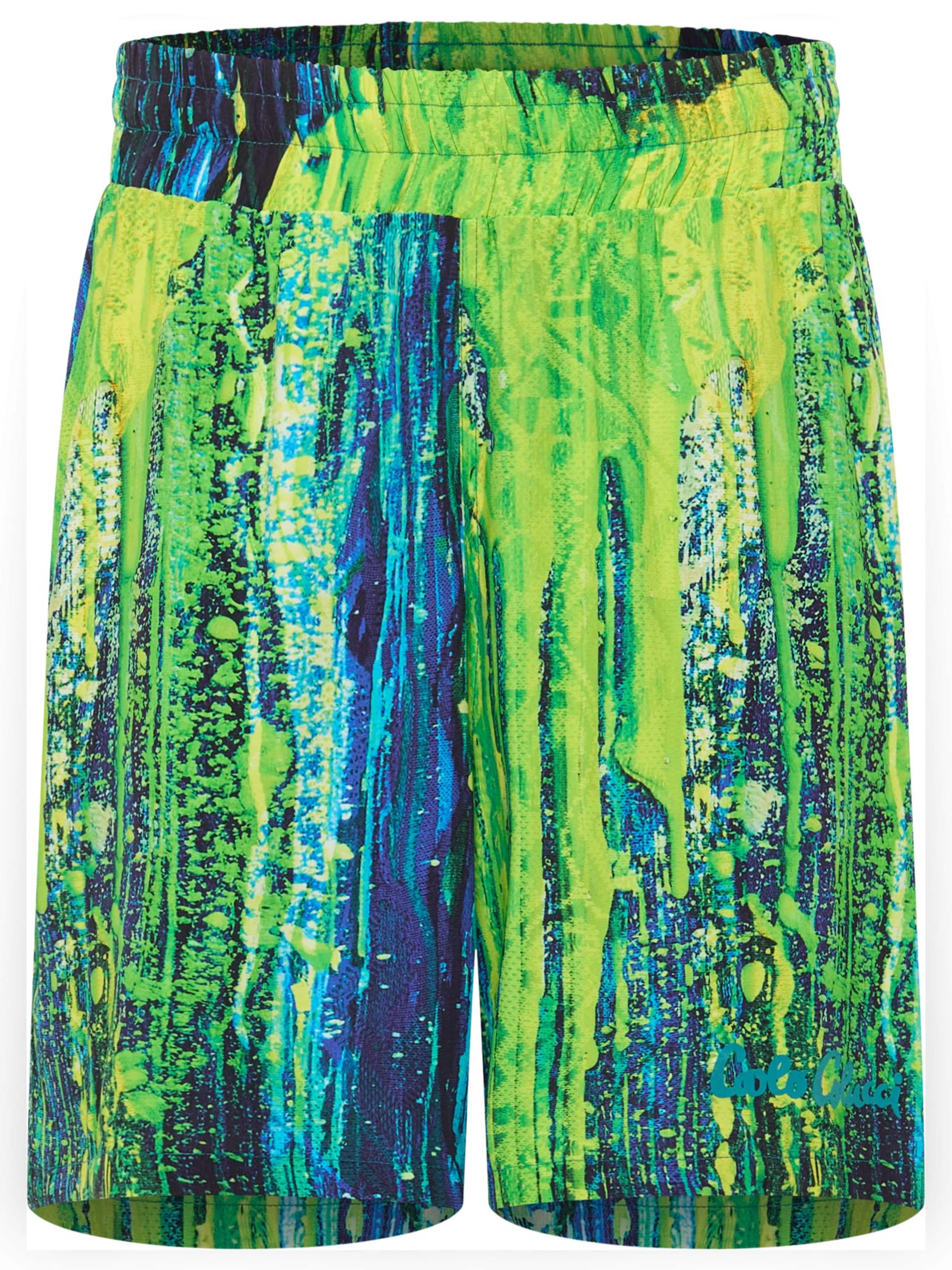 Regular Pantalon 'Favretto' Carlo Colucci en vert : devant