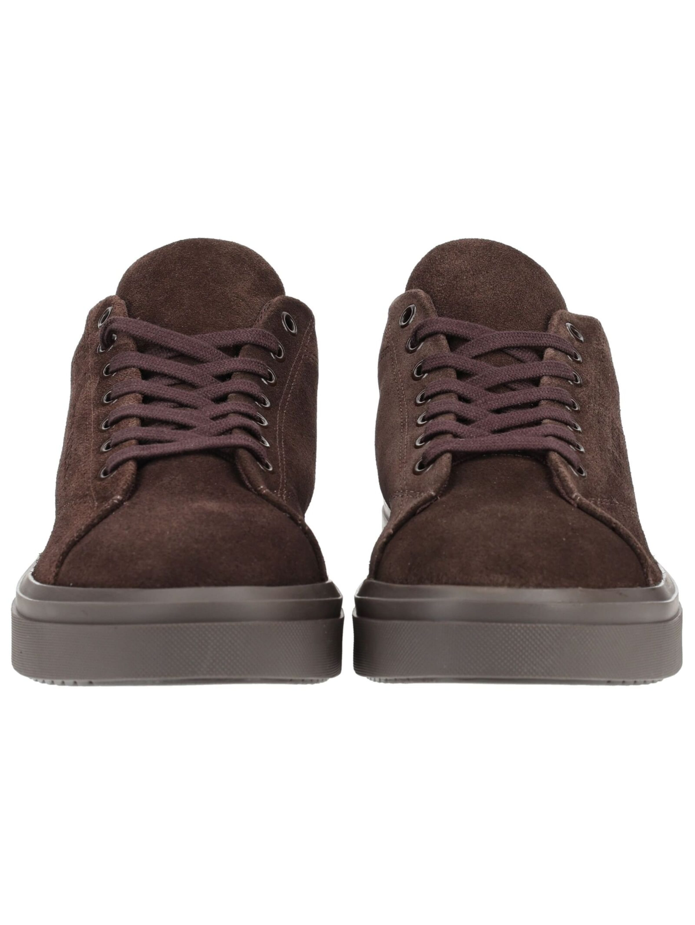 STEVE MADDEN Platform trainers in Brown