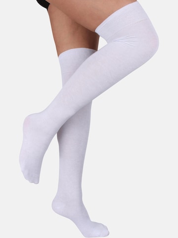 normani Over the Knee Socks in White