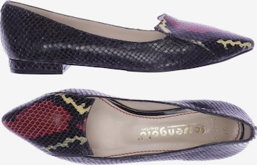 FERSENGOLD Ballerina 37 in Schwarz: Vorderseite