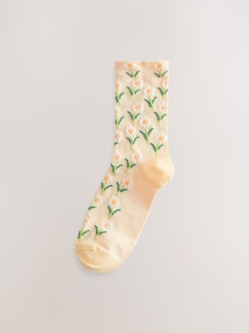 Next Socks in Orange