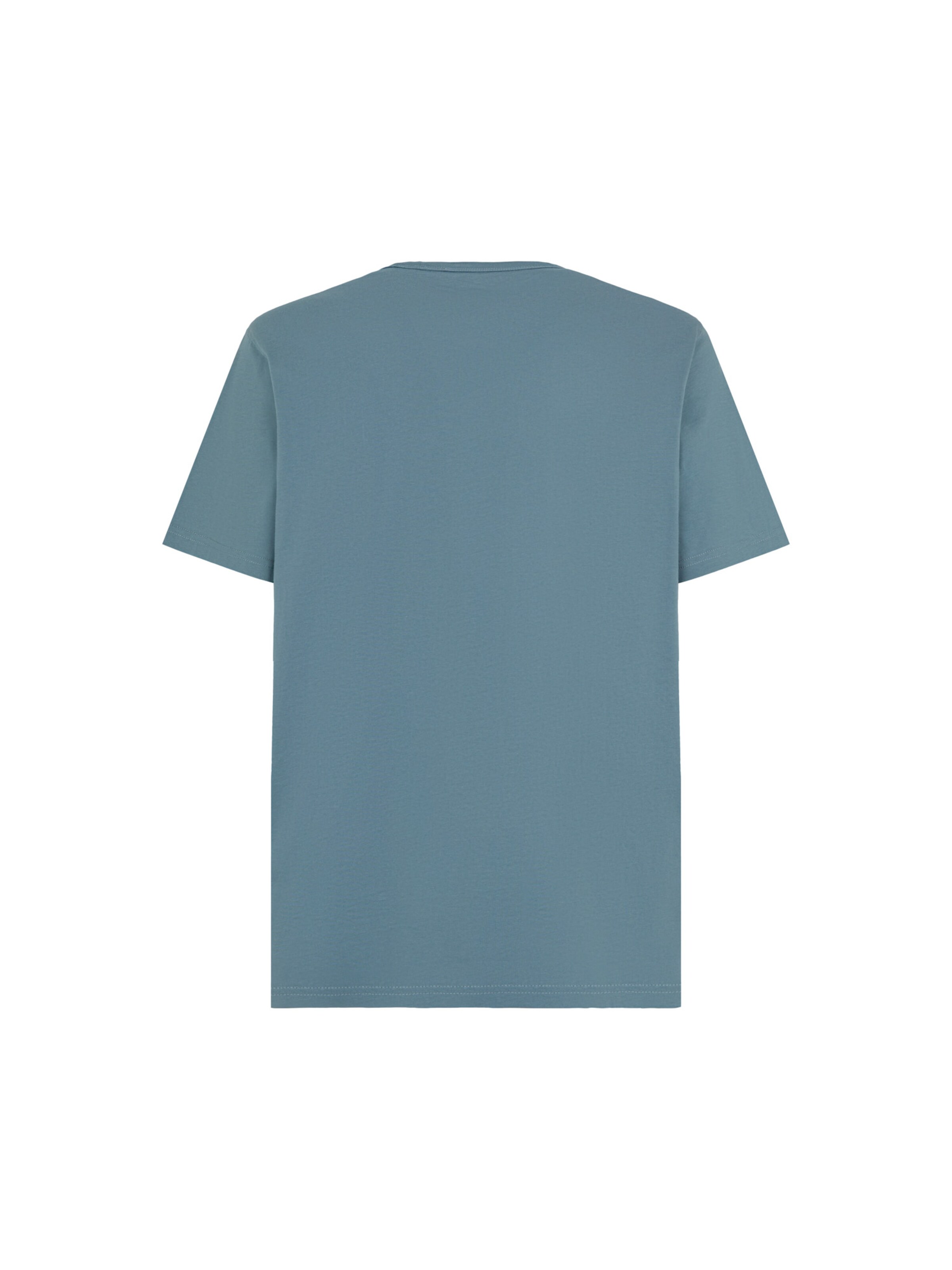 Tricou 'Aitkin' de la DICKIES pe albastru