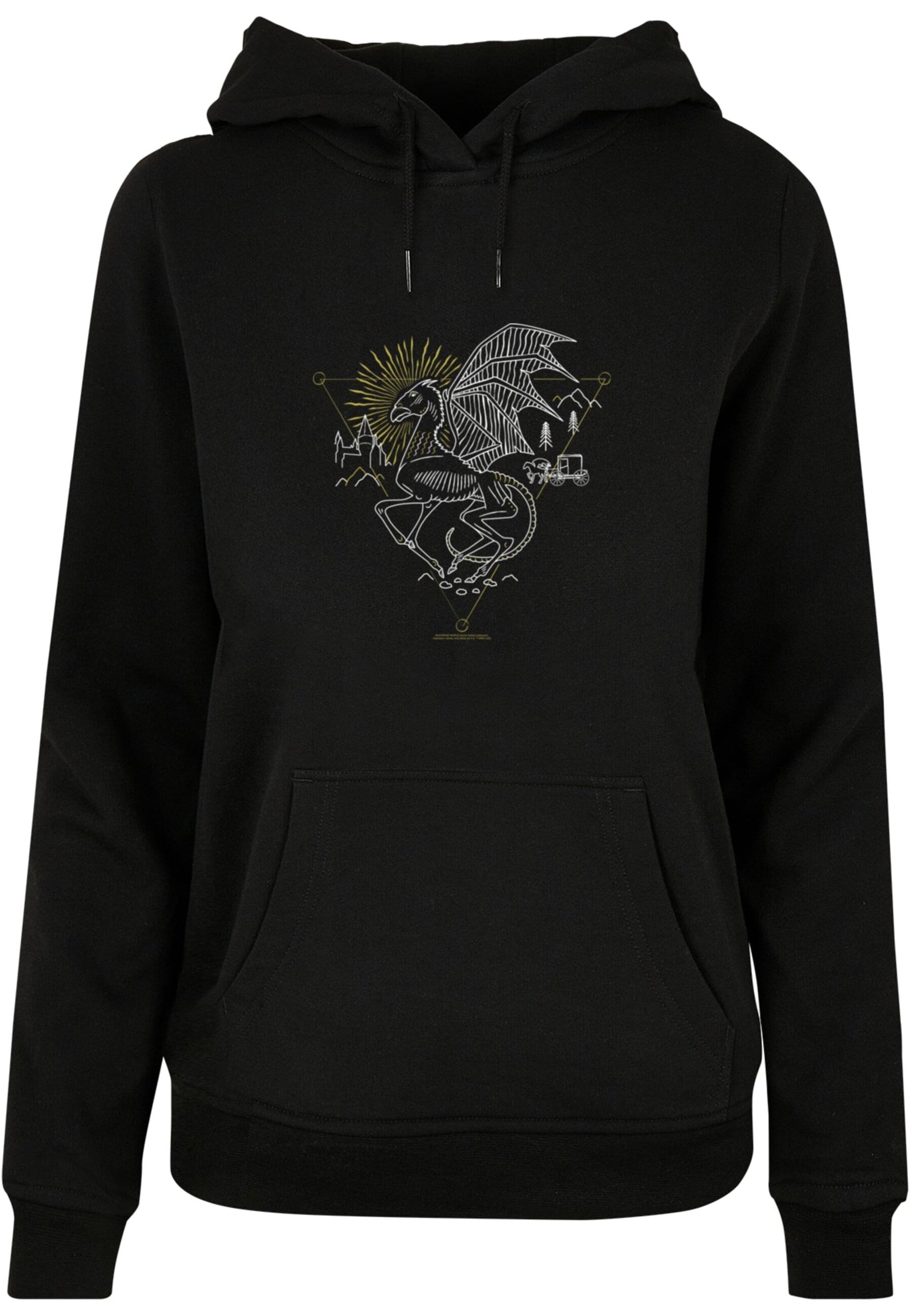 ABSOLUTE CULT Sweatshirt 'Harry Potter - Thestral' in Zwart: voorkant