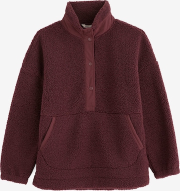 Pullover 'Pathway' di Seasalt Cornwall in marrone: frontale