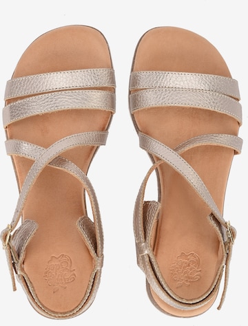 Apple of Eden Sandalen met riem ' IRINA ' in Goud